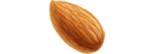 آجیل و خشکبار