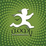 گروه خدماتی پادومن